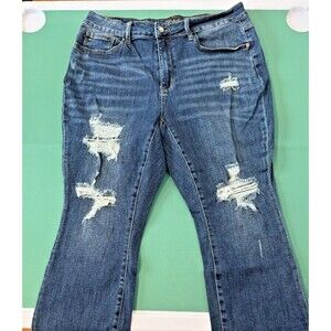 Judy Blue 18W Short Distressed Denim JB88517 Stretch Short